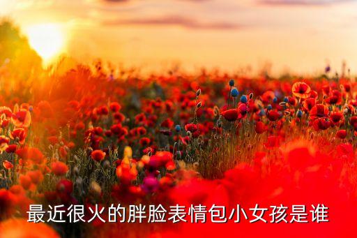 最近很火的胖臉表情包小女孩是誰