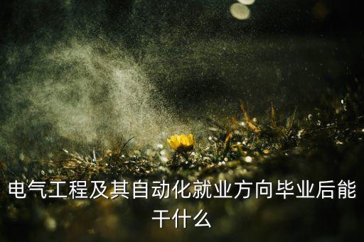 電氣工程及自動化專業(yè),電氣工程及其自動化專業(yè)你了解多少?