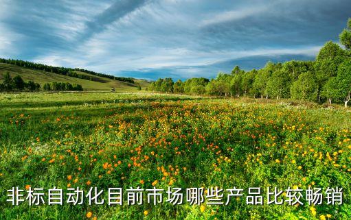宜昌非標(biāo)自動(dòng)化專用設(shè)備,什么叫非標(biāo)自動(dòng)化設(shè)備?