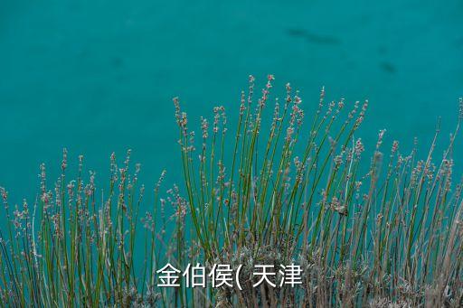 天津?qū)氎孀詣?dòng)化倉(cāng)儲(chǔ)設(shè)備,音飛自動(dòng)化倉(cāng)儲(chǔ)設(shè)備公司怎么樣