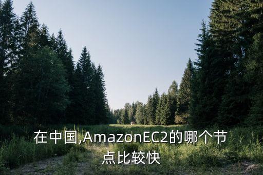 aws 數(shù)據(jù)中心 中國