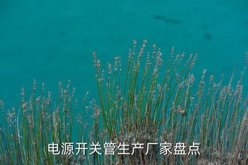 電源開關管生產(chǎn)廠家盤點