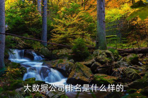 大數(shù)據(jù)公司排名是什么樣的