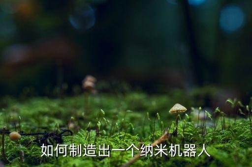 如何制造出一個(gè)納米機(jī)器人