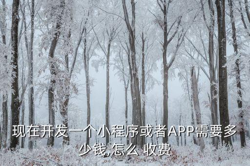 現(xiàn)在開(kāi)發(fā)一個(gè)小程序或者APP需要多少錢(qián),怎么 收費(fèi)