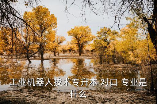 工業(yè)機(jī)器人技術(shù)專升本 對(duì)口 專業(yè)是什么