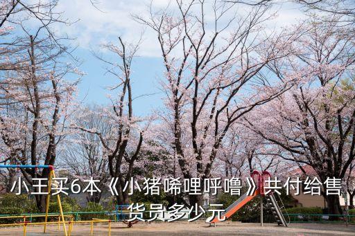 小王買6本《小豬唏哩呼?！饭哺督o售貨員多少元