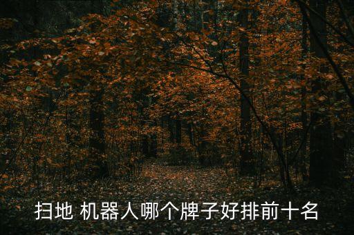 石頭機(jī)器人 聲音