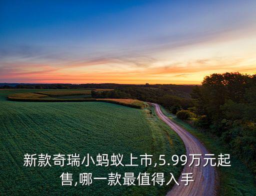 新款奇瑞小螞蟻上市,5.99萬元起售,哪一款最值得入手