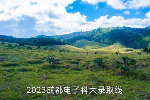 2023成都電子科大錄取線