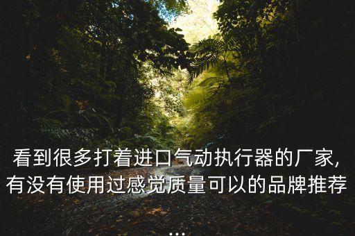 看到很多打著進口氣動執(zhí)行器的廠家,有沒有使用過感覺質量可以的品牌推薦...