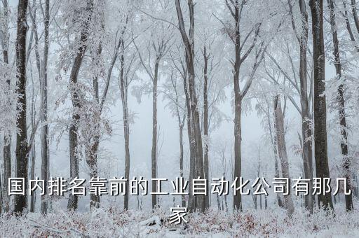 望汭自動(dòng)化科技有限公司,中國(guó)生產(chǎn)自動(dòng)化設(shè)備公司有哪些?