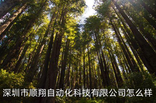 深圳市順翔自動化科技有限公司怎么樣