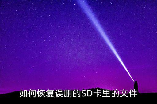 如何恢復(fù)誤刪的SD卡里的文件