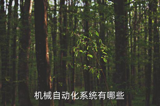 機(jī)械自動(dòng)化系統(tǒng)有哪些