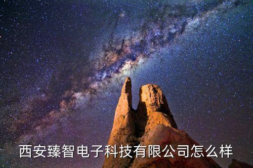 西安臻智電子科技有限公司怎么樣