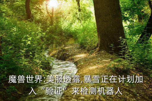 魔獸世界:美服透露,暴雪正在計(jì)劃加入“驗(yàn)證”來(lái)檢測(cè)機(jī)器人