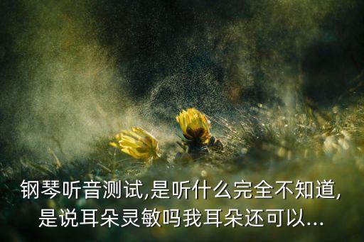 鋼琴聽(tīng)音測(cè)試,是聽(tīng)什么完全不知道,是說(shuō)耳朵靈敏嗎我耳朵還可以...