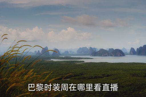 法國時裝周,法國巴黎時裝周起源于1910年