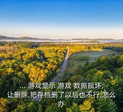 ... 游戲顯示 游戲 數(shù)據(jù)損壞,讓刪除,把存檔刪了以后也不行,怎么辦