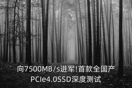 向7500MB/s進(jìn)軍!首款全國產(chǎn)PCIe4.0SSD深度測試