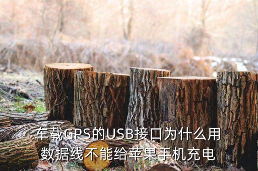 iphone 車載 數(shù)據(jù)線,車載三合一數(shù)據(jù)線哪個好