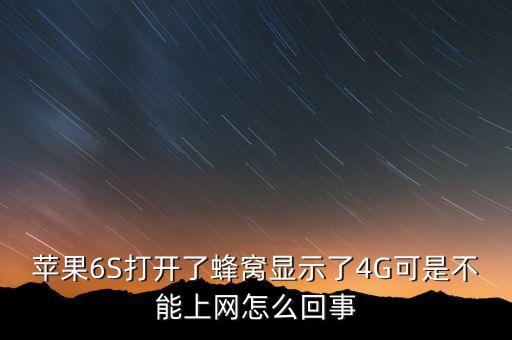 蘋果6S打開了蜂窩顯示了4G可是不能上網(wǎng)怎么回事