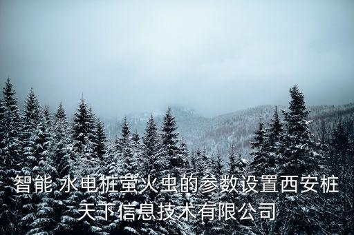 智能 水電樁螢火蟲的參數(shù)設(shè)置西安樁天下信息技術(shù)有限公司