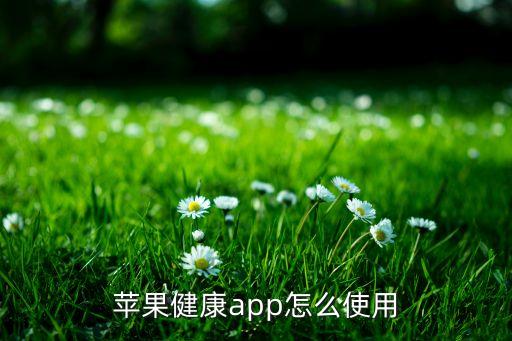 蘋(píng)果健康app怎么使用