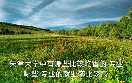  天津大學中有哪些比較吃香的 專業(yè)哪些 專業(yè)的就業(yè)率比較高