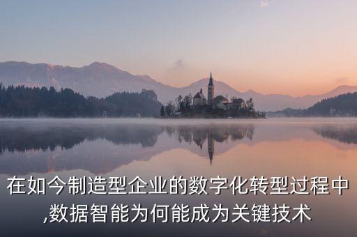 在如今制造型企業(yè)的數(shù)字化轉(zhuǎn)型過程中,數(shù)據(jù)智能為何能成為關(guān)鍵技術(shù)