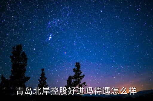 青島北岸控股好進嗎待遇怎么樣
