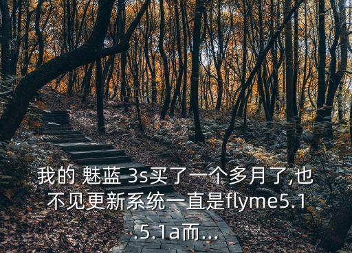 我的 魅藍(lán) 3s買了一個(gè)多月了,也不見更新系統(tǒng)一直是flyme5.1.5.1a而...