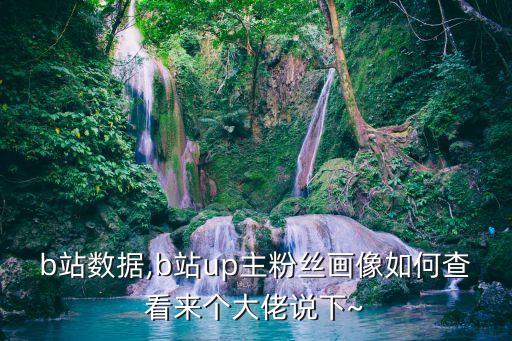 b站數(shù)據(jù),b站up主粉絲畫像如何查看來個大佬說下~