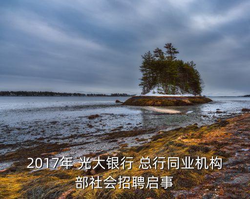 2017年 光大銀行 總行同業(yè)機(jī)構(gòu)部社會招聘啟事