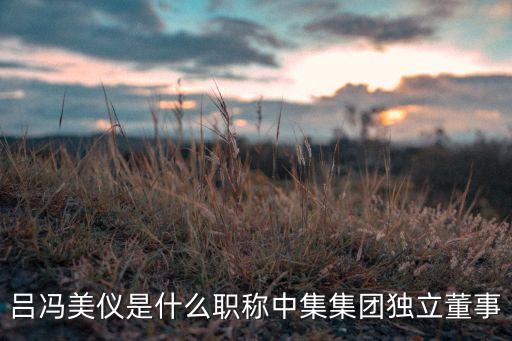 呂馮美儀是什么職稱中集集團(tuán)獨(dú)立董事