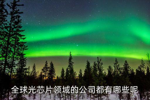 全球光芯片領(lǐng)域的公司都有哪些呢