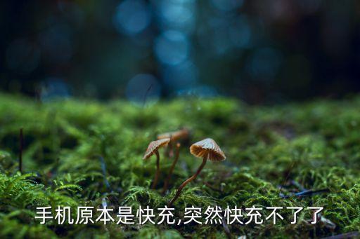 手機(jī)原本是快充,突然快充不了了