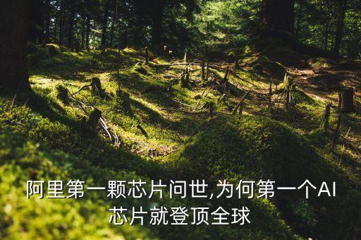 gpu數(shù)據(jù)庫(kù) 阿里,阿里推出透光芯片問世