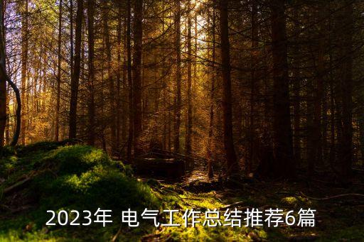 2023年 電氣工作總結(jié)推薦6篇