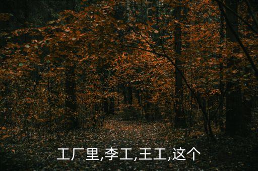 工廠里,李工,王工,這個