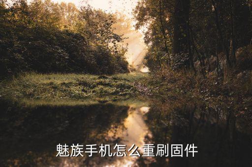  魅族手機(jī)怎么重刷固件