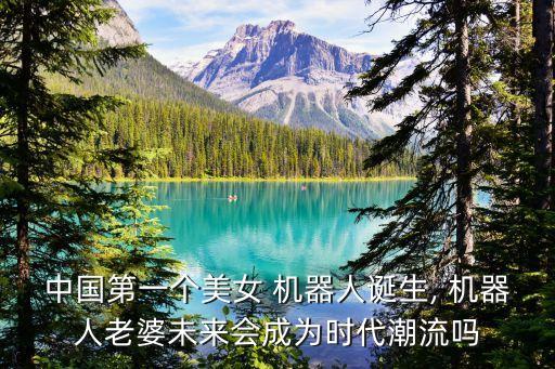 中國(guó)第一個(gè)美女 機(jī)器人誕生, 機(jī)器人老婆未來(lái)會(huì)成為時(shí)代潮流嗎