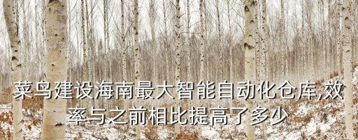 菜鳥建設(shè)海南最大智能自動化倉庫,效率與之前相比提高了多少
