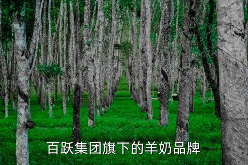 奶粉行業(yè)自動(dòng)化公司有哪些,自動(dòng)化行業(yè)比較好的公司