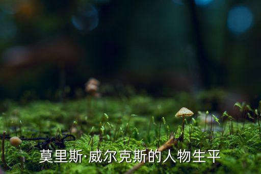 威爾克斯自動化設備,英國水垢處理設備是怎么一回事