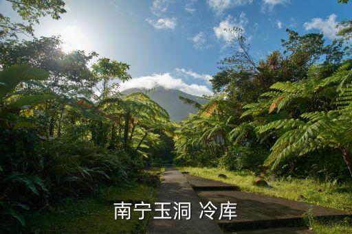 自動(dòng)化冷庫(kù)倉(cāng)儲(chǔ)公司,冷庫(kù)不會(huì)自動(dòng)化霜是什么故障