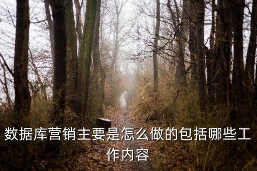 數(shù)據(jù)庫營銷主要是怎么做的包括哪些工作內(nèi)容