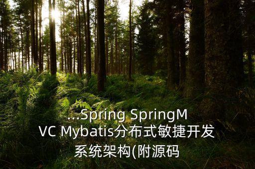 ...Spring SpringMVC Mybatis分布式敏捷開(kāi)發(fā)系統(tǒng)架構(gòu)(附源碼