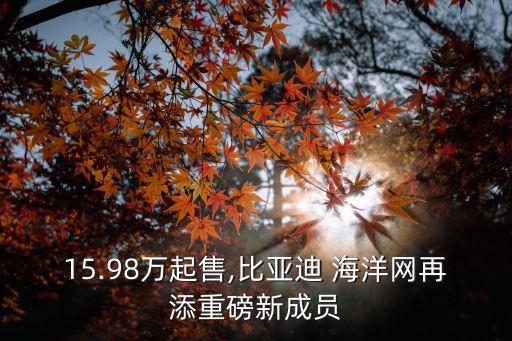15.98萬起售,比亞迪 海洋網(wǎng)再添重磅新成員